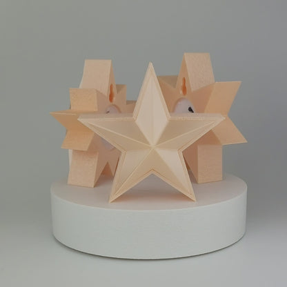 Beleuchteter Stern Seidig Champagner in 3 Formen (Farbkombinationen möglich)